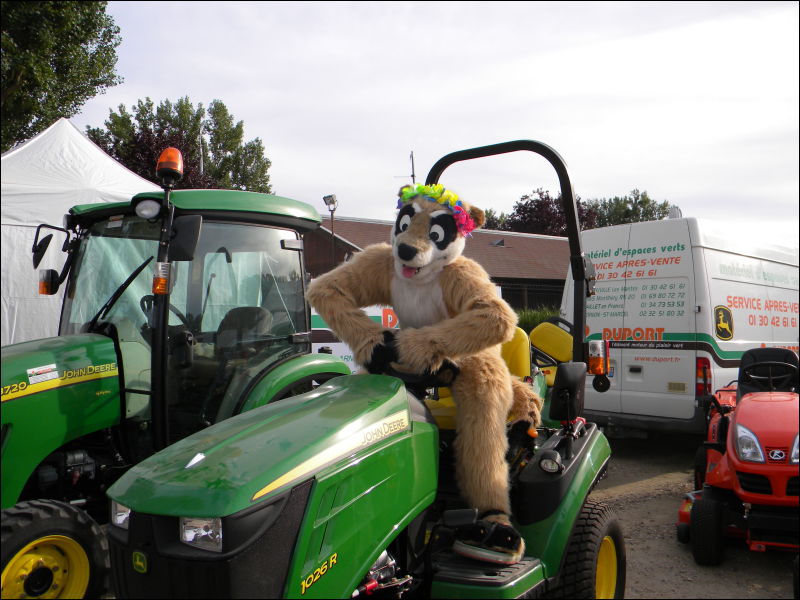 [Racoon_MantesParcExpo071.jpg]