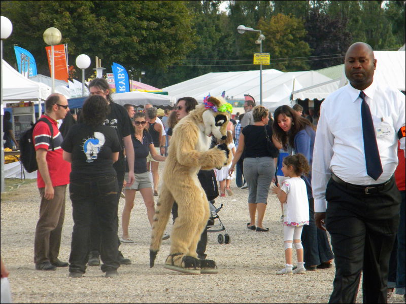 [Racoon_MantesParcExpo079.jpg]