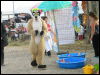 [Racoon MantesParcExpo082]