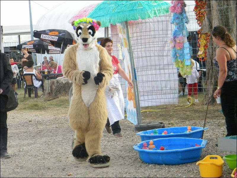 [Racoon_MantesParcExpo082.jpg]