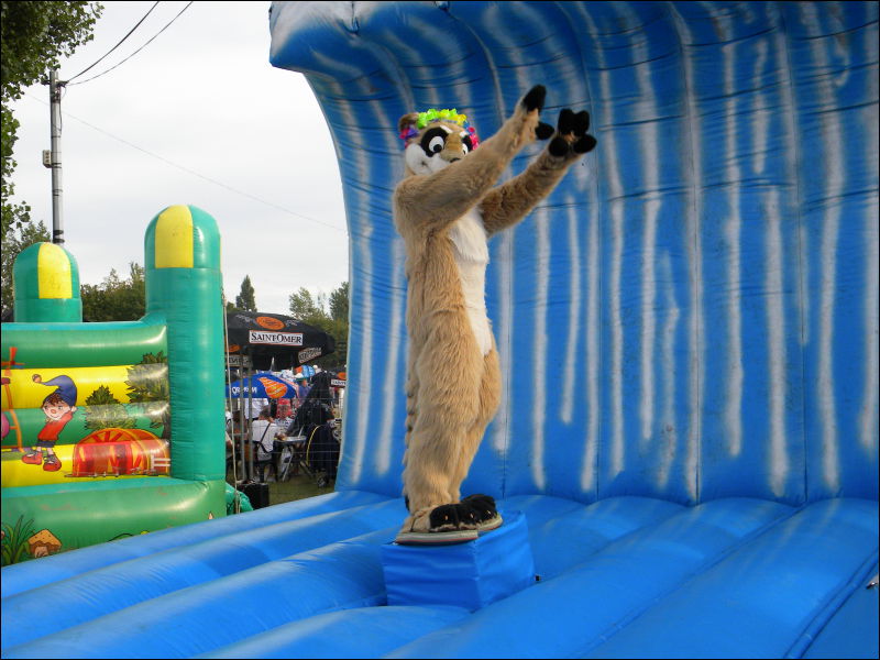 [Racoon_MantesParcExpo083.jpg]