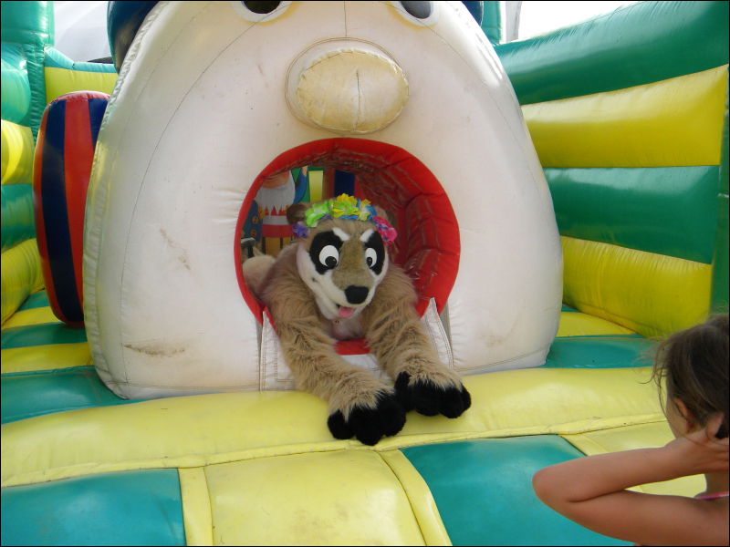 [Racoon_MantesParcExpo099.jpg]