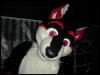 [CorneilG 20090425 MMD7 306]