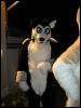[CorneilG 20090425 MMD7 331]