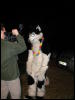 [CorneilG 20090425 MMD7 349]