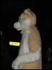 [CorneilG 20090425 MMD7 361]
