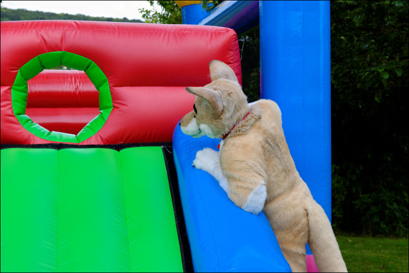 [20120624_BouncyCastle0132_e.jpg]