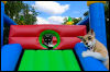 [20120624 BouncyCastle0138 e]