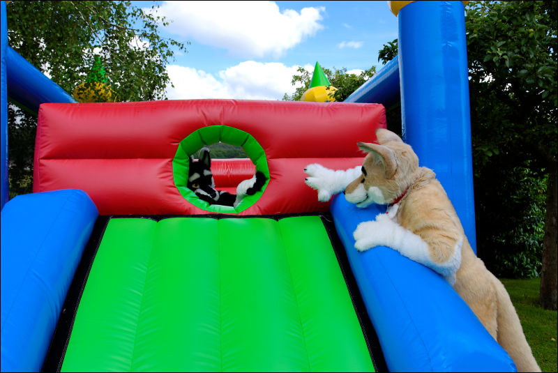 [20120624_BouncyCastle0141_e.jpg]