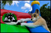 [20120624 BouncyCastle0146 e]