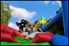 [20120624 BouncyCastle0155 e]