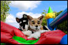 [20120624 BouncyCastle0156 e]