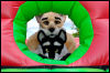 [20120624 BouncyCastle0170 e]