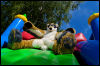 [20120624 PlushDuru0073 e]