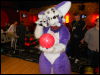 [Furnace OrgevalBowling 022]