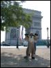 [20020824 MeerkatNFoxyInParis 044]