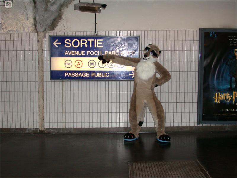 [20020824_MeerkatNFoxyInParis_065.jpg]