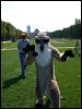 [20020824 MeerkatNFoxyInParis 106]