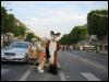 [TJWolf 20050727 ArcTriomphe 033]