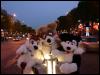 [20051029 ScritchPippinYagfox 42 ChampsElysees]