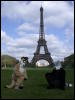 [20060429 FurbleInParis 033]