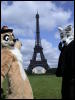 [20060429 FurbleInParis 037]