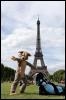 [20090902 EiffelTower 5262 e]