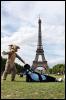 [20090902 EiffelTower 5264 e]