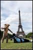 [20090902 EiffelTower 5267 e]