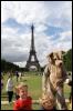 [20090902 EiffelTower 5369 e]