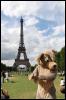 [20090902 EiffelTower 5370 e]