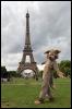 [20090902 EiffelTower 5483 e]