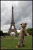 [20090902 EiffelTower 5484 e]