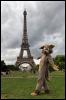 [20090902 EiffelTower 5485 e]