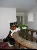 [Weissenstein castle with Zeb 100907 09]