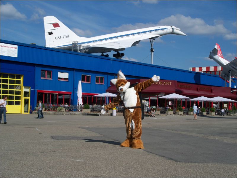 [Dolan_20080824_Sinsheim_026.jpg]