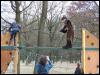 [Khirahl BerlinerPark20110326 028]