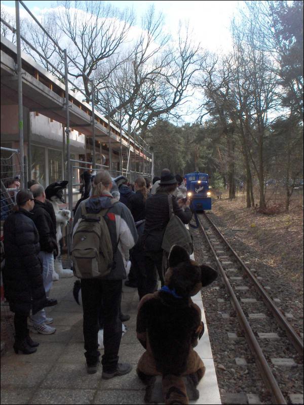 [Michiber_Neohyena_BerlinerPark20110326_001.jpg]