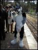 [PolarWolf BerlinerPark20110326 001]