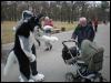 [PolarWolf BerlinerPark20110326 009]