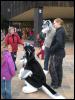 [PolarWolf BerlinerPark20110326 040]