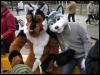 [PolarWolf BerlinerPark20110326 055]