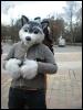 [PolarWolf BerlinerPark20110326 061]