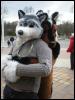 [PolarWolf BerlinerPark20110326 062]