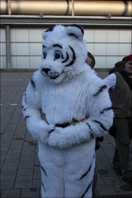 [LBM_2013_Fachsenbude (155).JPG]