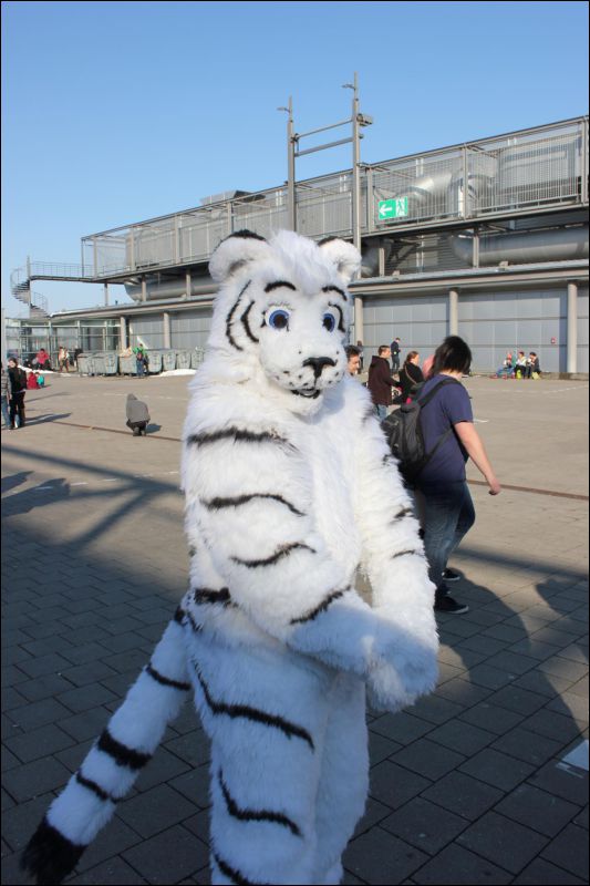 [LBM_2013_Fachsenbude (61).JPG]