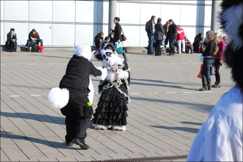 [LBM_2013_Fachsenbude (74).JPG]