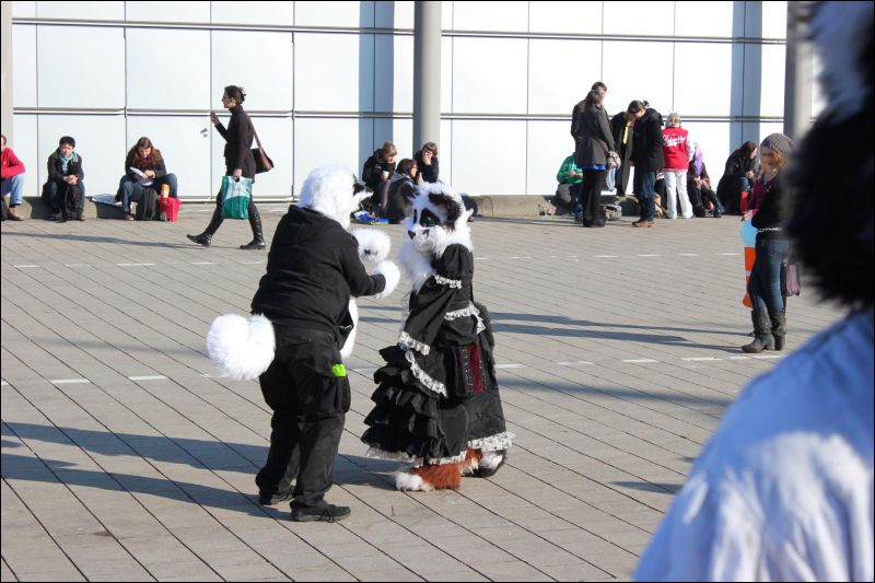 [LBM_2013_Fachsenbude (75).JPG]