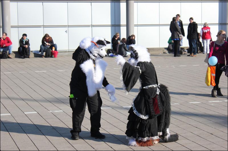 [LBM_2013_Fachsenbude (78).JPG]