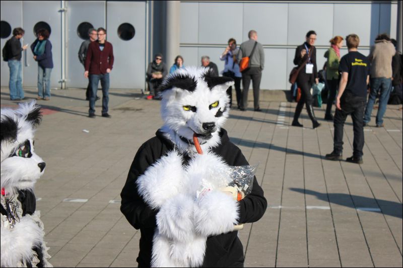 [LBM_2013_Fachsenbude (83).JPG]